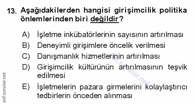 Soru 13