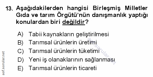 Soru 13