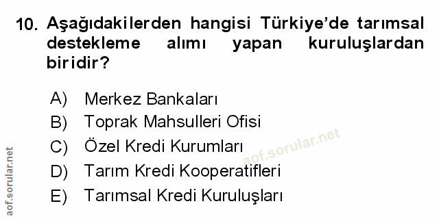 Soru 10