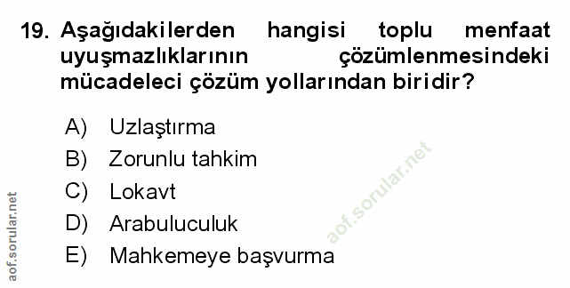 Soru 19