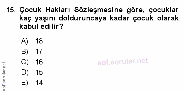 Soru 15