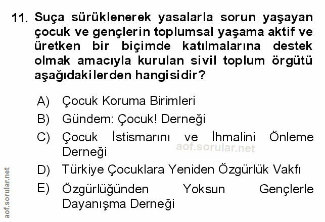Soru 11
