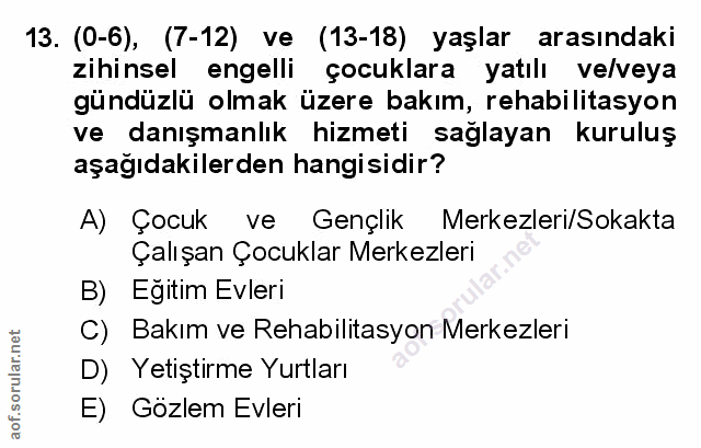 Soru 13