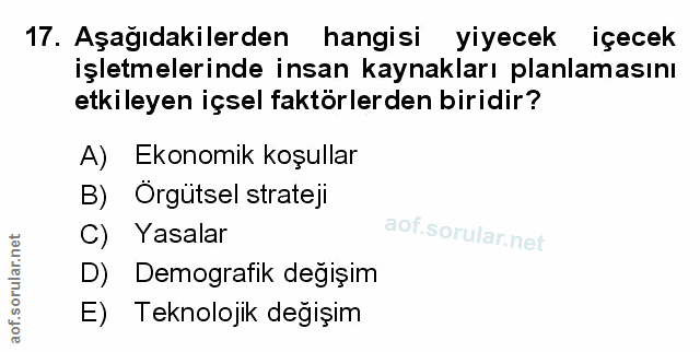 Soru 17