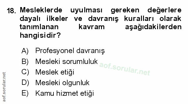 Soru 18