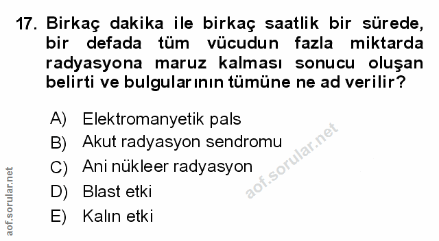Soru 17