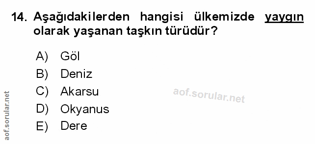 Soru 14