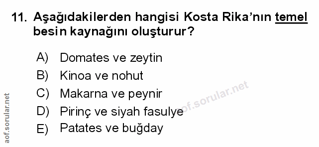 Soru 11