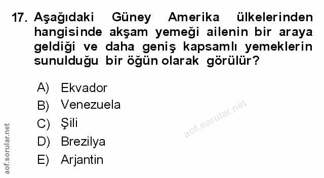 Soru 17