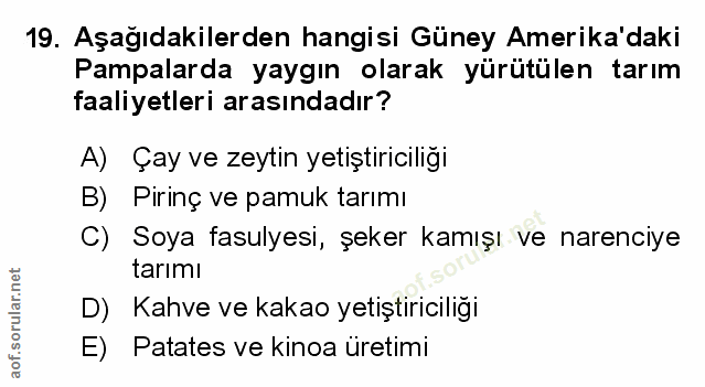Soru 19