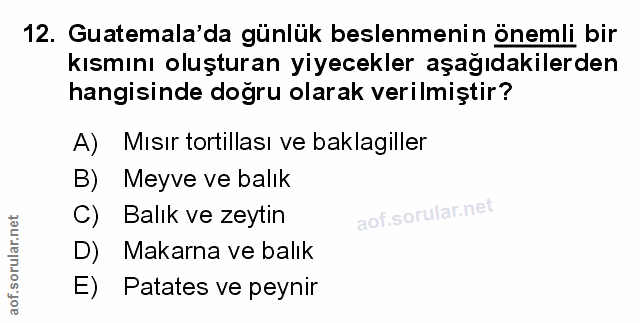 Soru 12