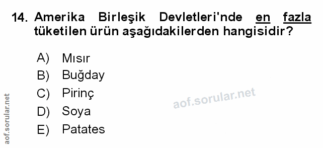 Soru 14