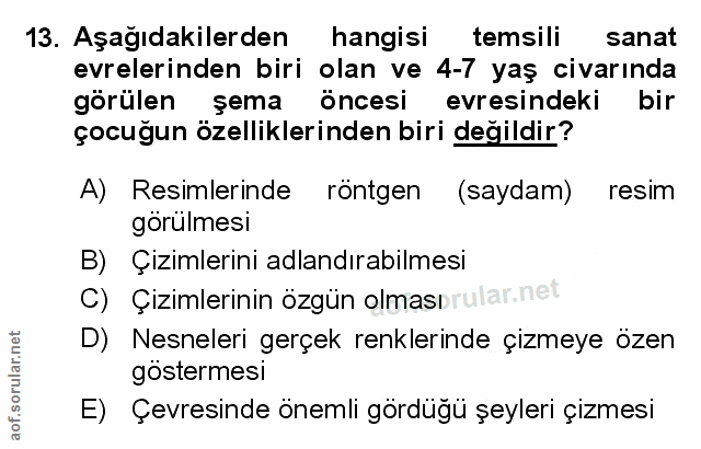 Soru 13
