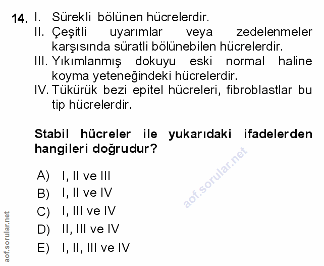 Soru 14