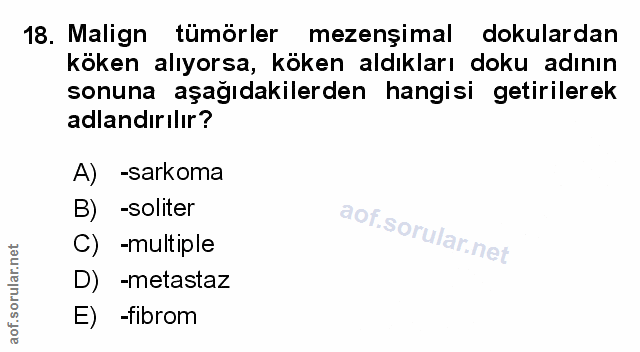 Soru 18