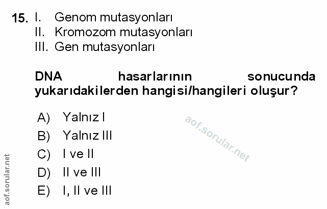 Soru 15
