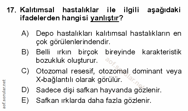 Soru 17