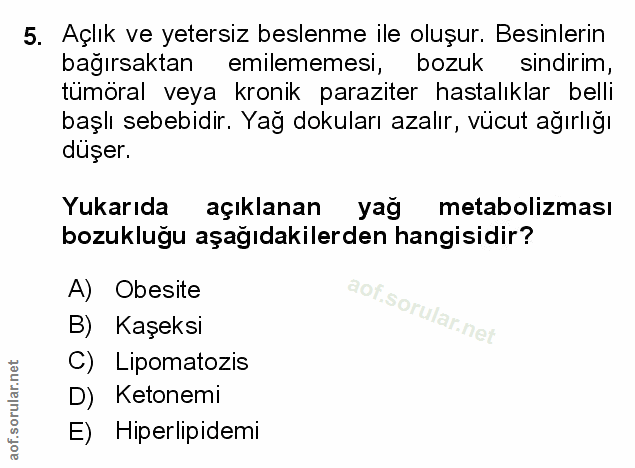 Soru 5