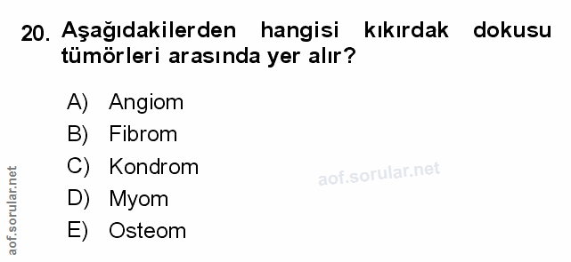 Soru 20