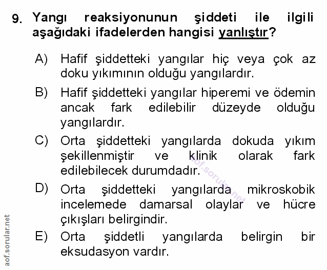 Soru 9