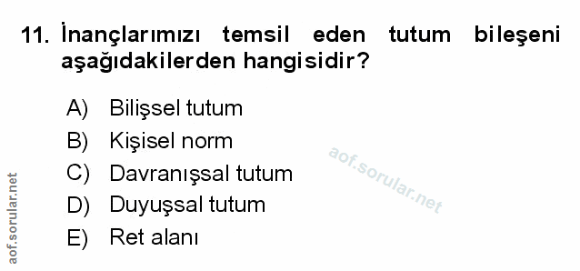 Soru 11