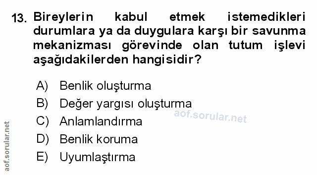 Soru 13
