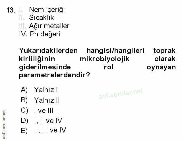 Soru 13