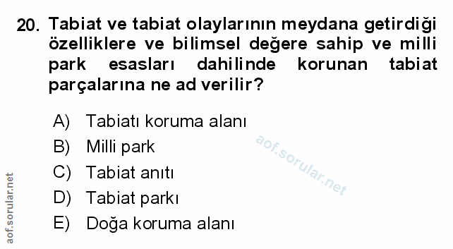 Soru 20