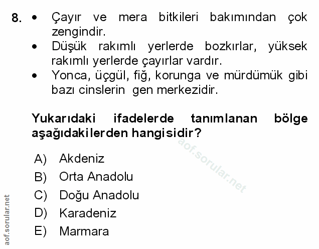 Soru 8