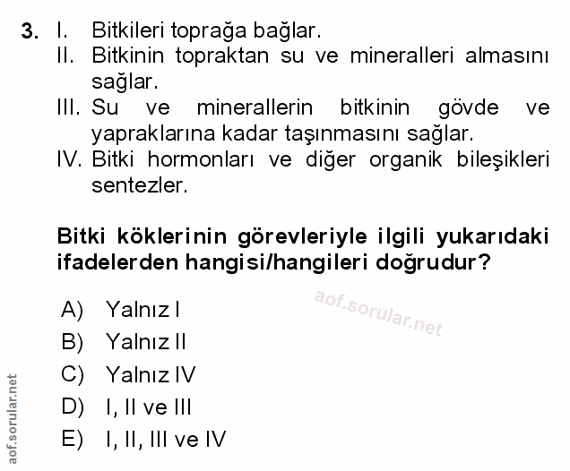 Soru 3