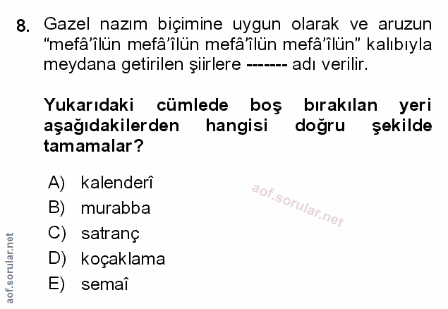 Soru 8