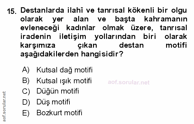 Soru 15