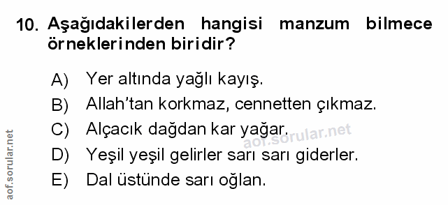 Soru 10