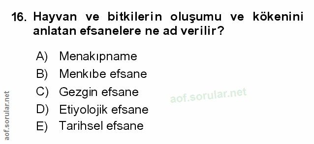 Soru 16