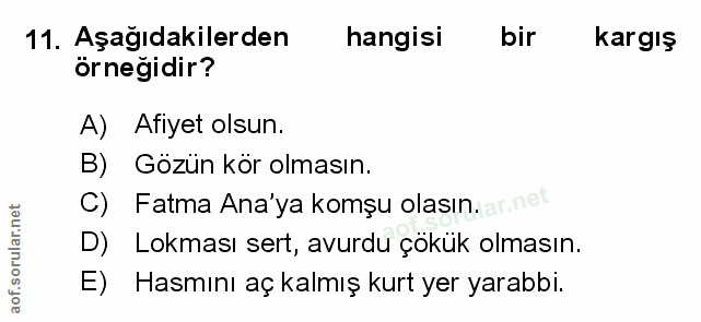 Soru 11