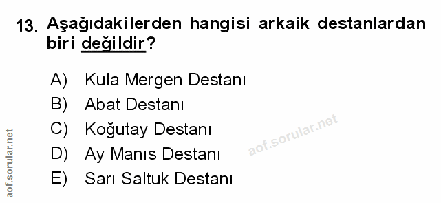 Soru 13