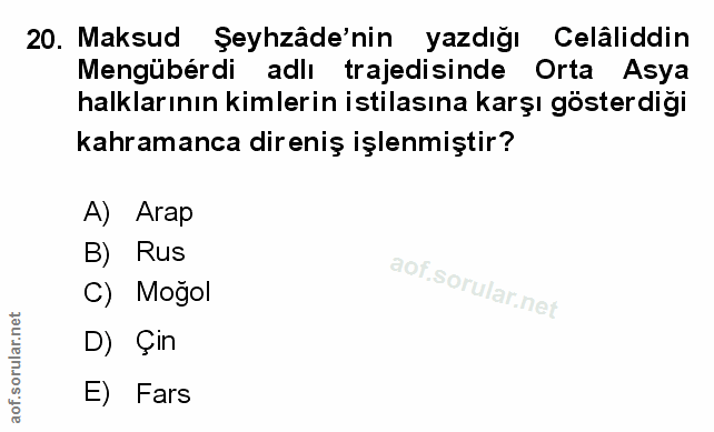 Soru 20