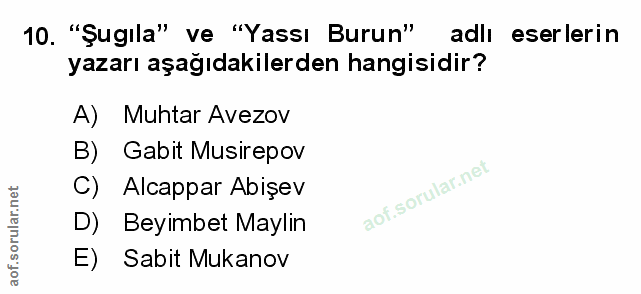 Soru 10