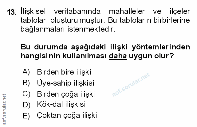 Soru 13