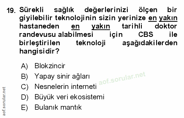 Soru 19