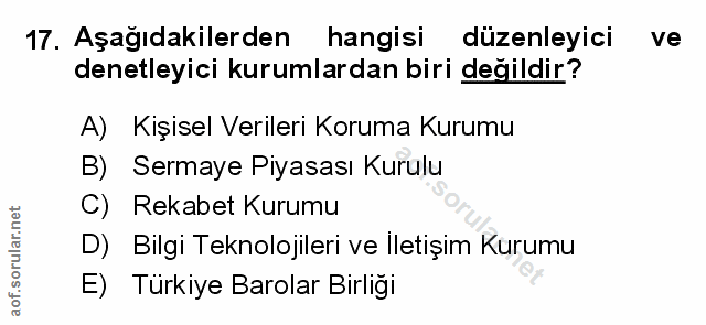 Soru 17