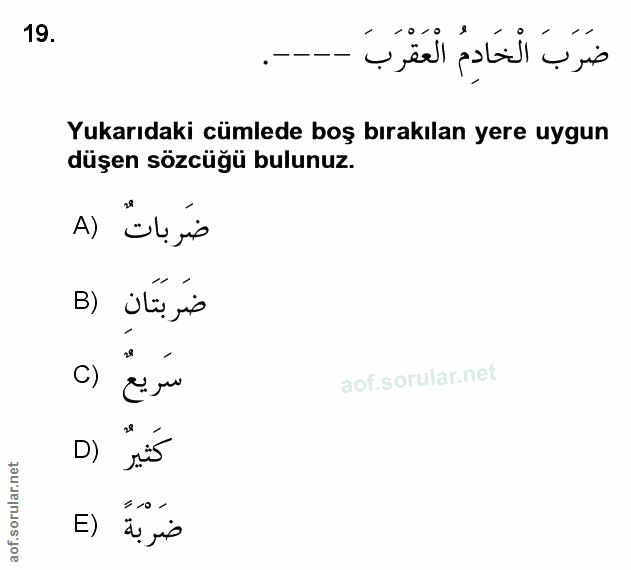 Soru 19