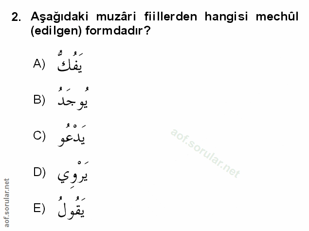 Soru 2