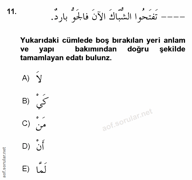 Soru 11