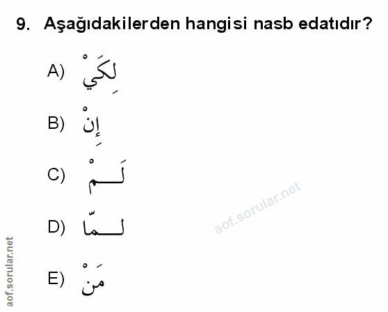 Soru 9