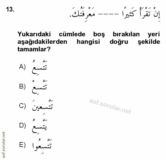 Soru 13