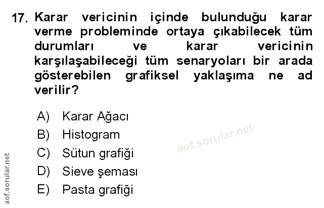 Soru 17