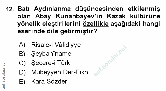 Soru 12