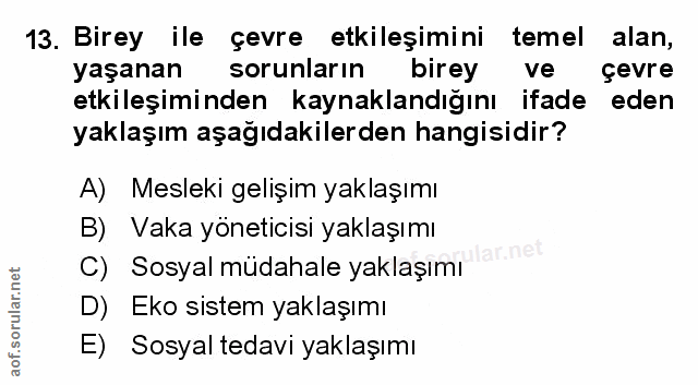 Soru 13