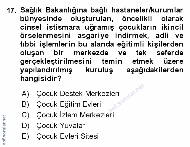 Soru 17